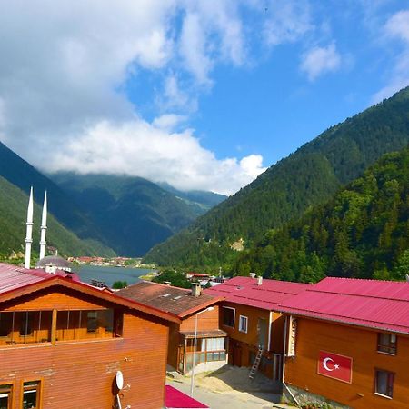 Anemo Suite Uzungöl Exteriör bild