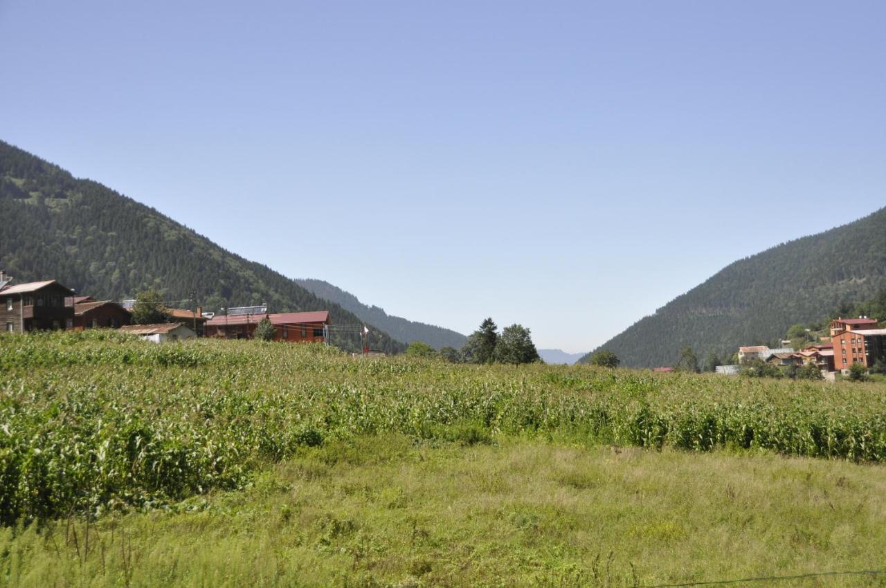 Anemo Suite Uzungöl Exteriör bild