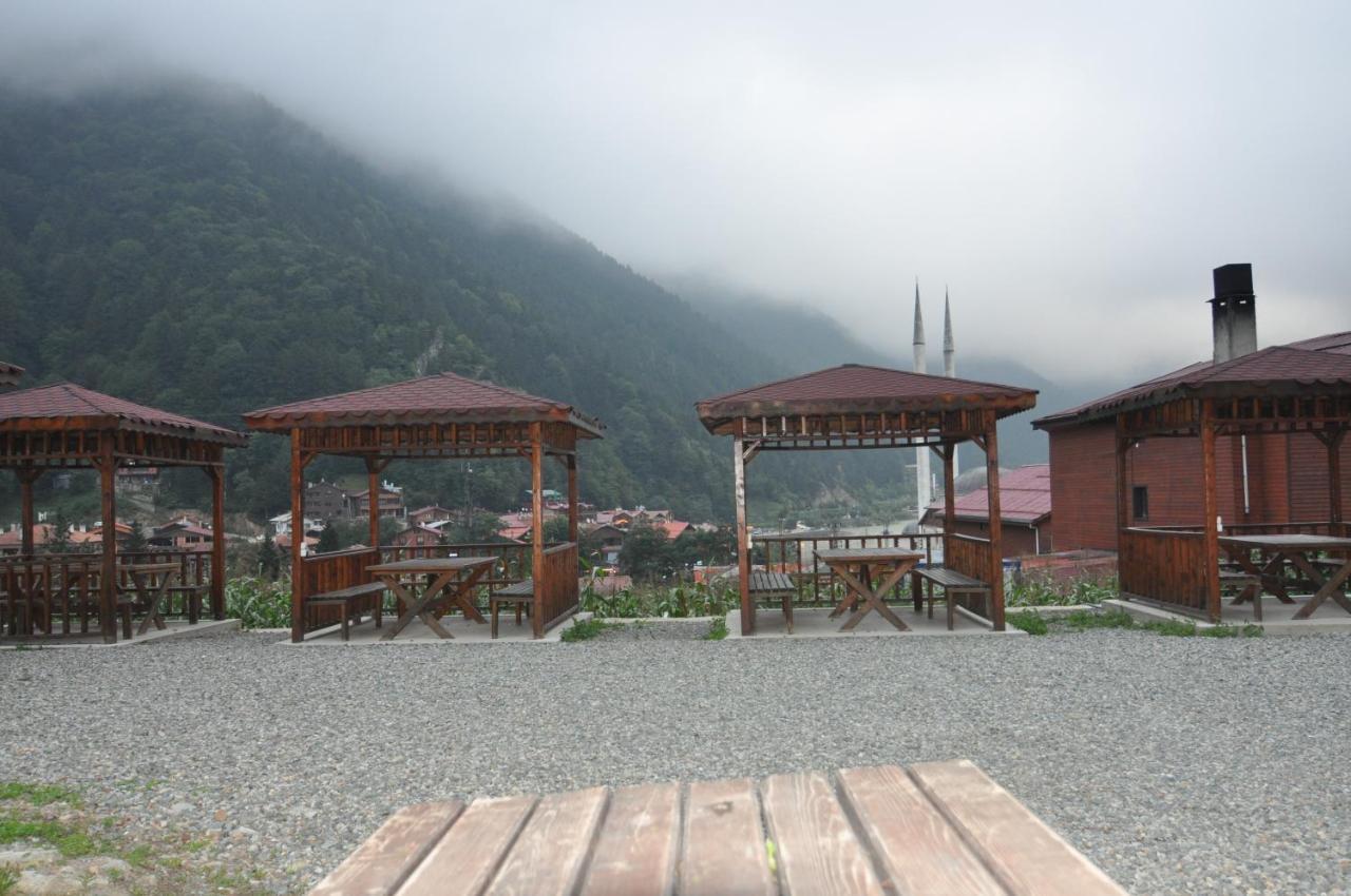 Anemo Suite Uzungöl Exteriör bild