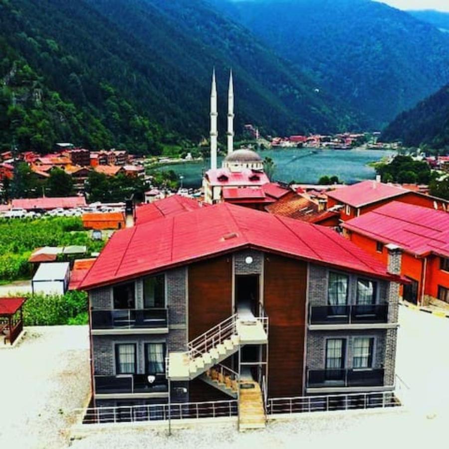 Anemo Suite Uzungöl Exteriör bild